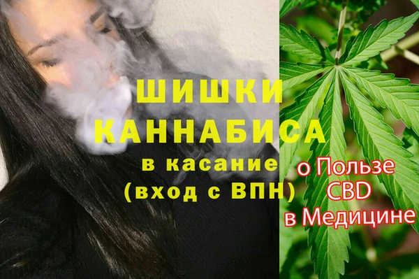 стаф Краснослободск