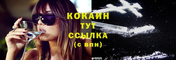 стаф Краснослободск