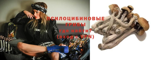 амфетамин Болохово