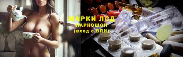 стаф Краснослободск