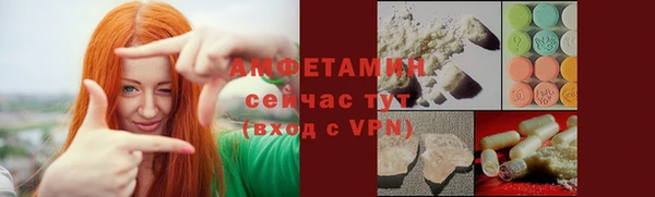 молекула духа Кулебаки