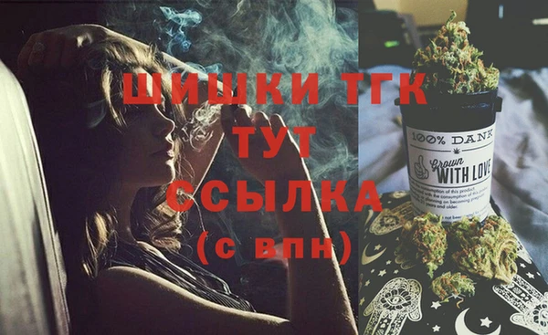 стаф Краснослободск
