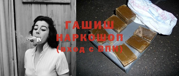 индика Новозыбков