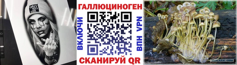Псилоцибиновые грибы Cubensis Луховицы