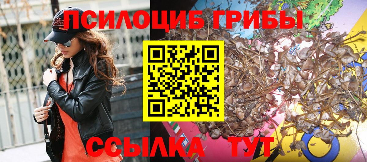 Луховицы  Галлюциногенные грибы мицелий  Вход с VPN 