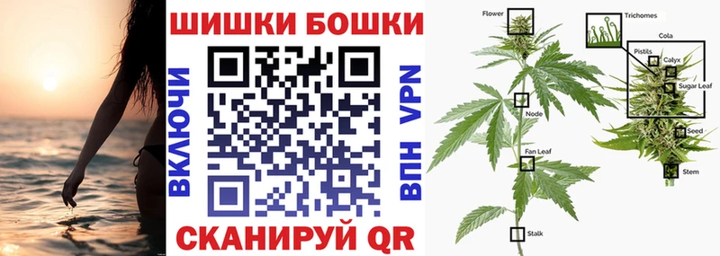 гидра как зайти купить наркотики цена Луховицы Шишки марихуана планчик